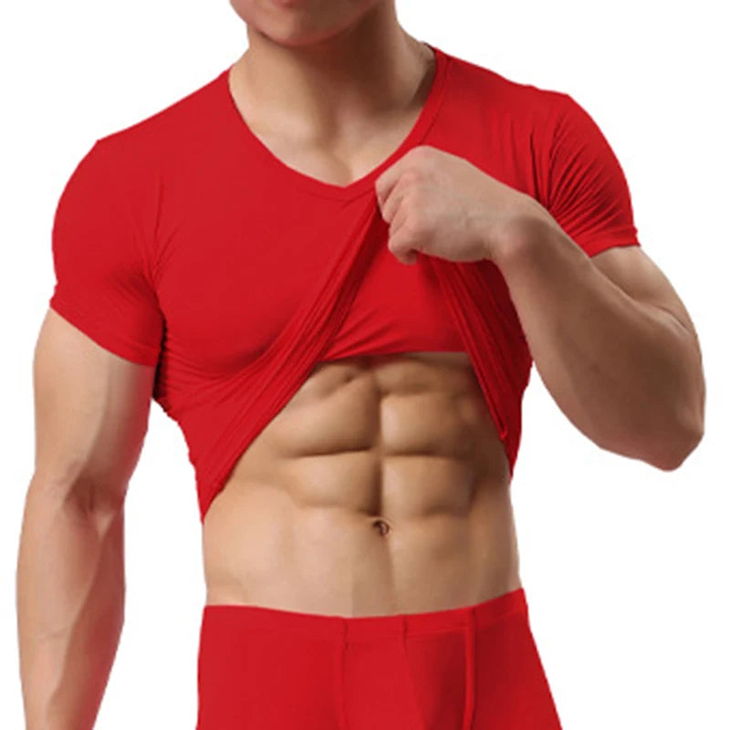 New Men's Sexy Ice Silk T Shirts Solid Color Male V-neck Short Sleeves t shirt Tops Plus Size S-XXL